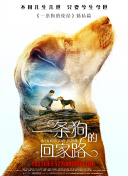 山海镜花：追寻游戏中的隐藏剧情